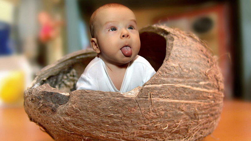 Baby in Coconut Shell — Brown, Playful, Photograph
