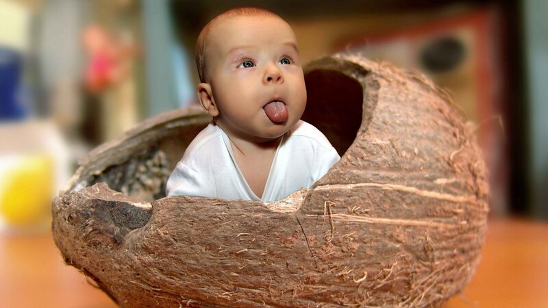 Baby in Coconut Shell — Brown, Playful