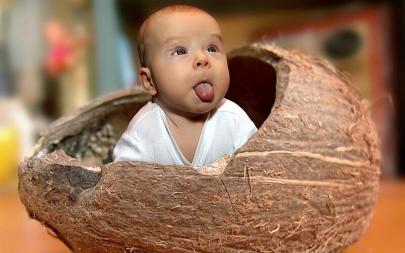 Baby in Coconut Shell — Brown