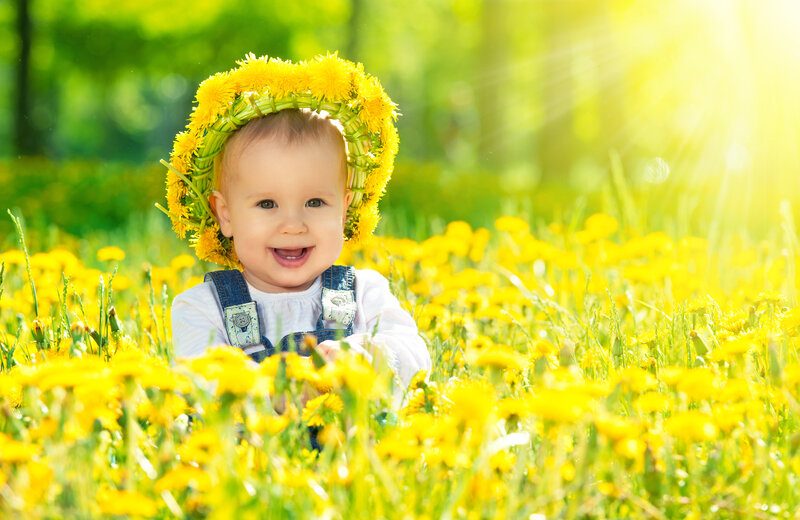 Baby in Dandelion Field — Yellow