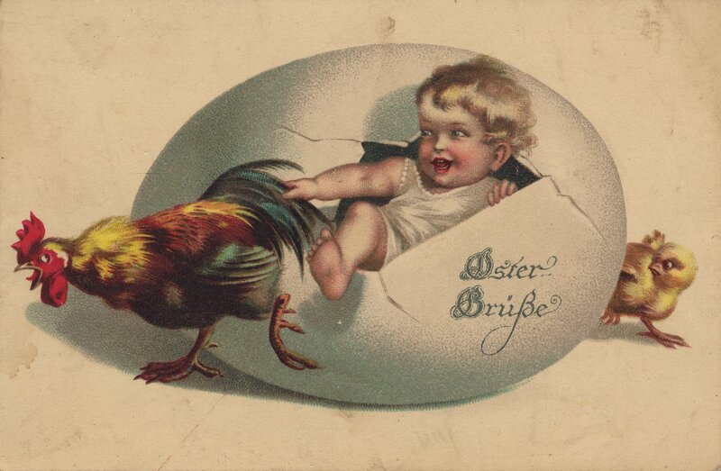 Baby in egg with chickens