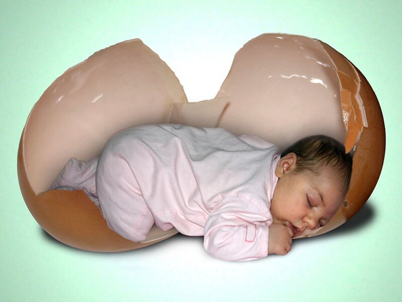 Baby in eggshell cradle