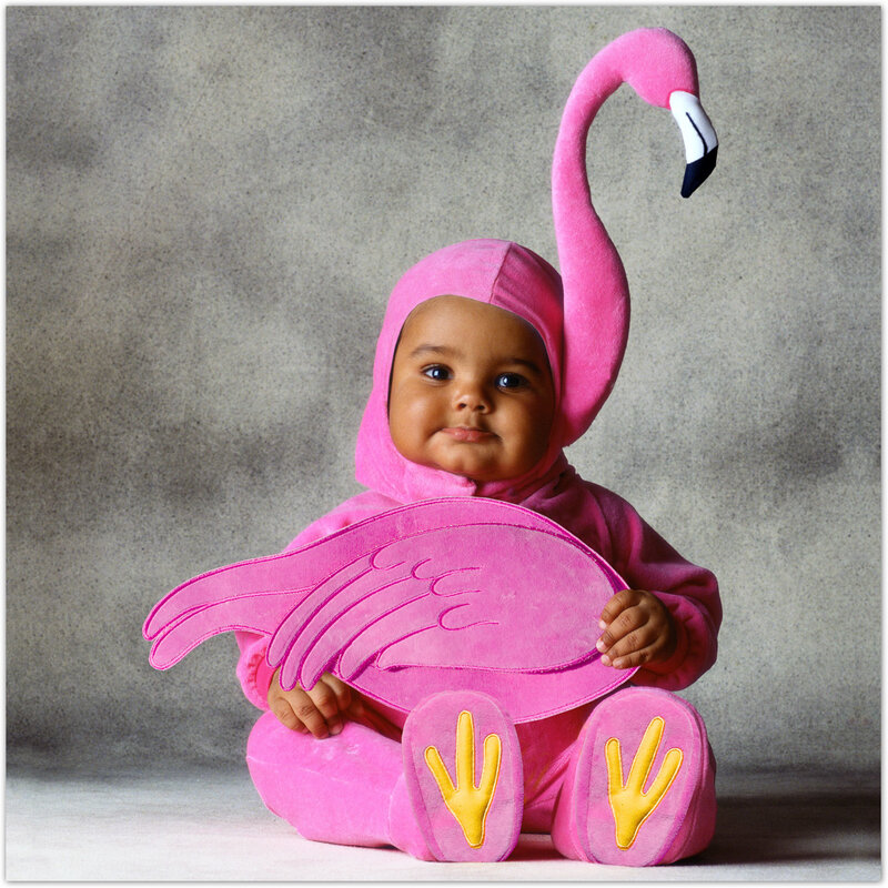 Baby in flamingo costume
