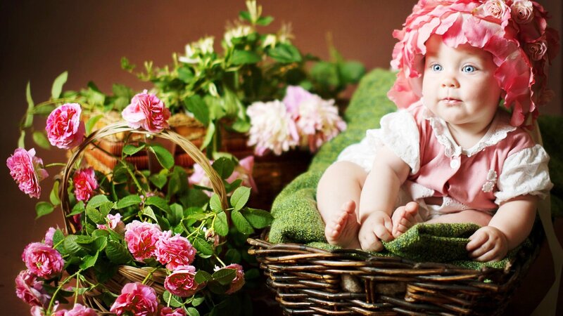 Baby in Flower Basket — Pink, Serene, Photograph