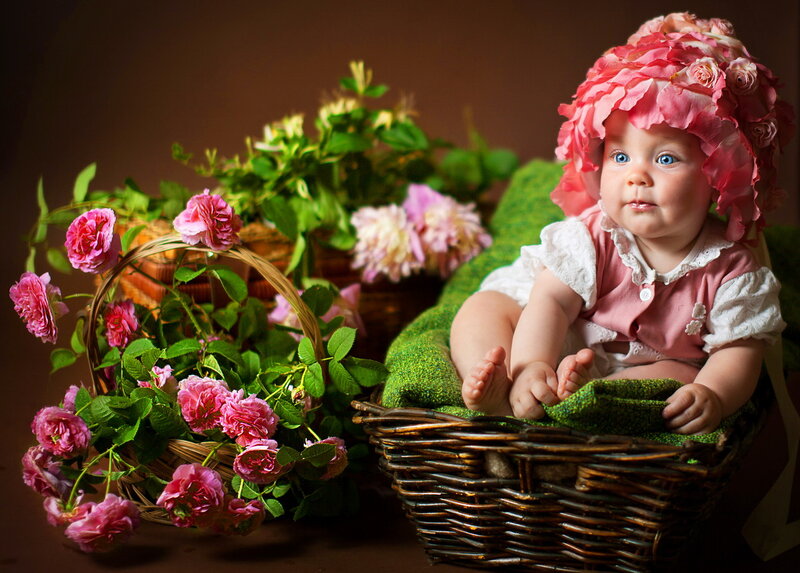 Baby in Flower Basket — Pink, Serene