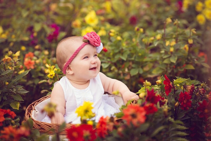Baby in Flower Basket — Red