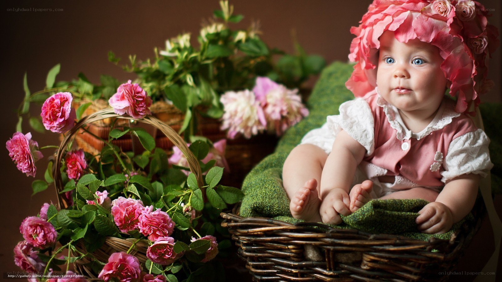 Baby in flower basket