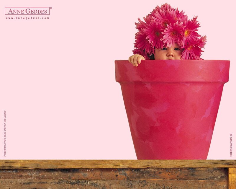 Baby in Flower Pot