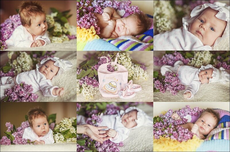 Baby in Lilac Flowers