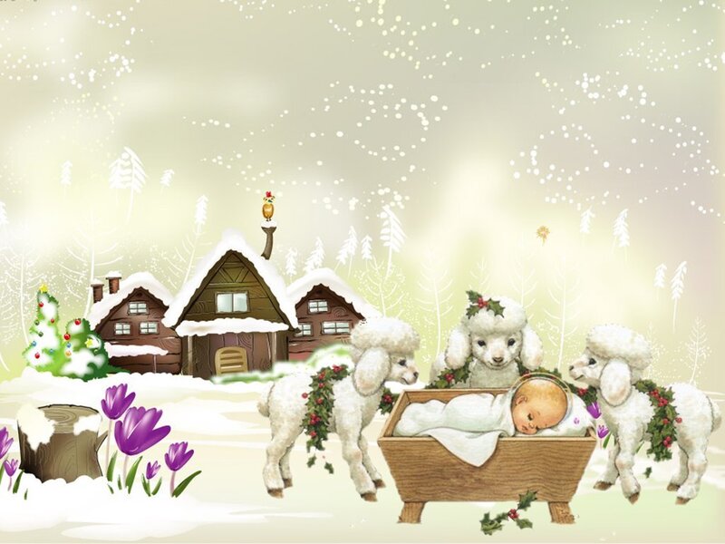 Baby in Manger with Lambs