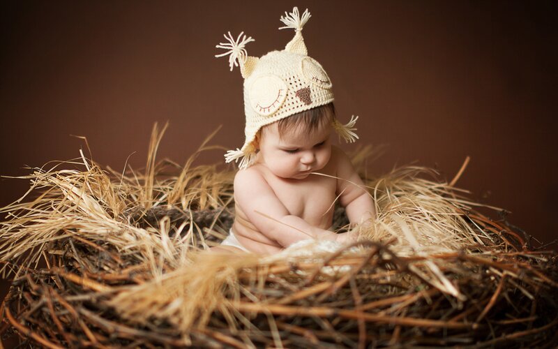 Baby in Nest — Brown