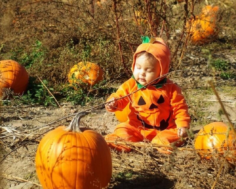Baby in Pumpkin Costume — Orange
