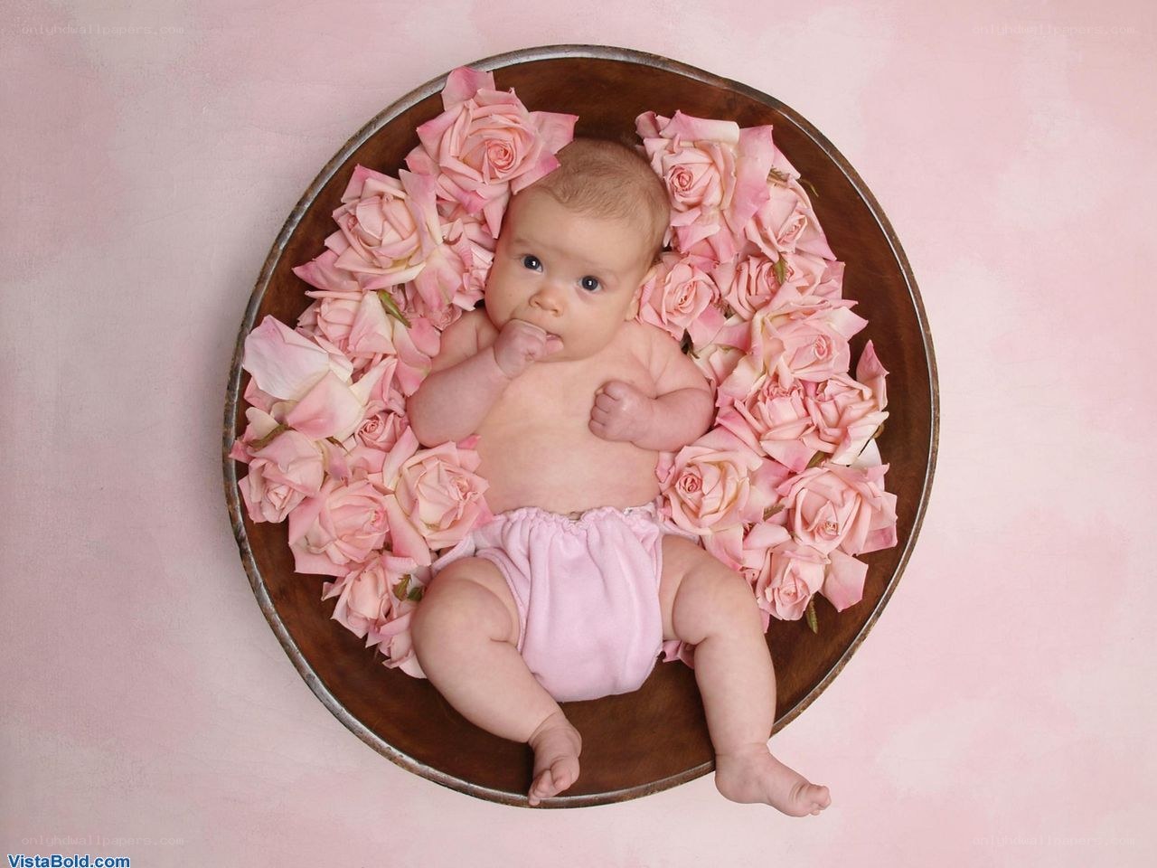 Baby in rose petals