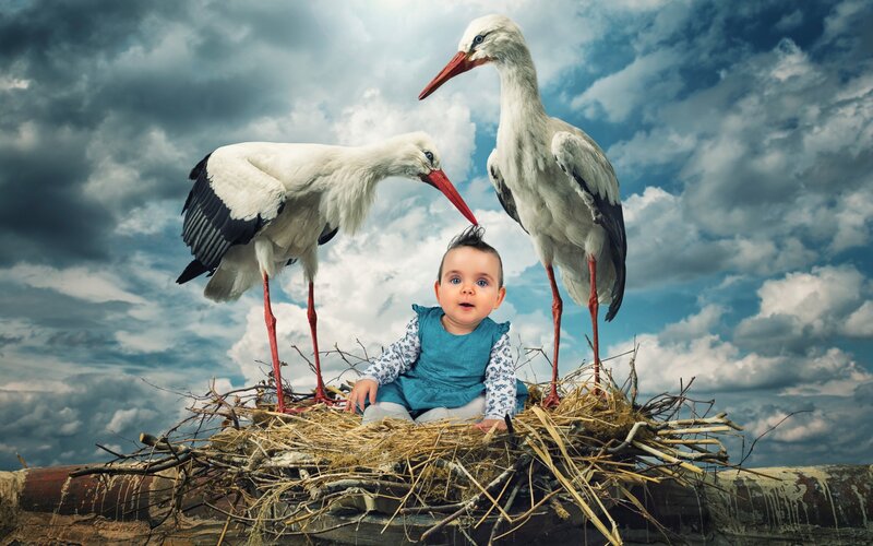 Baby in Stork Nest