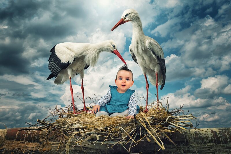 Baby in Stork Nest — White