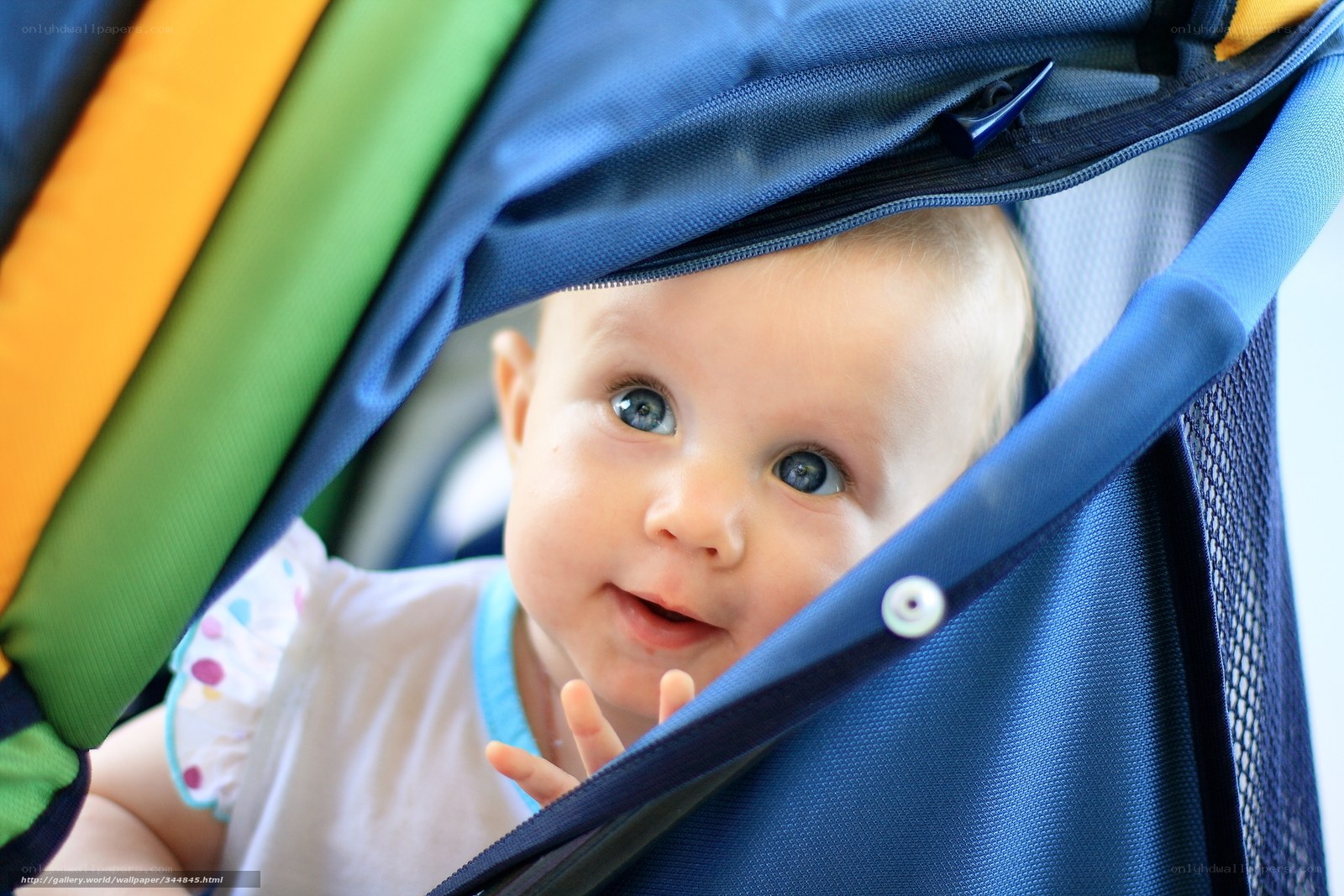 baby in stroller looking out
