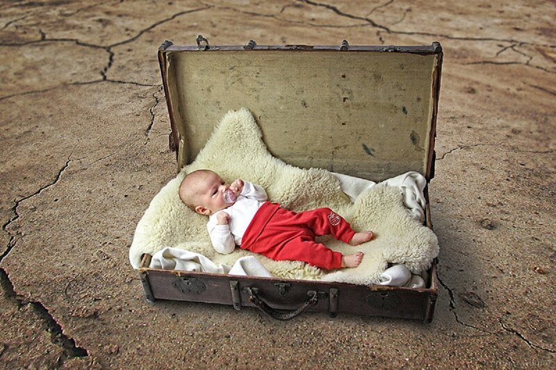 Baby in Suitcase — Brown
