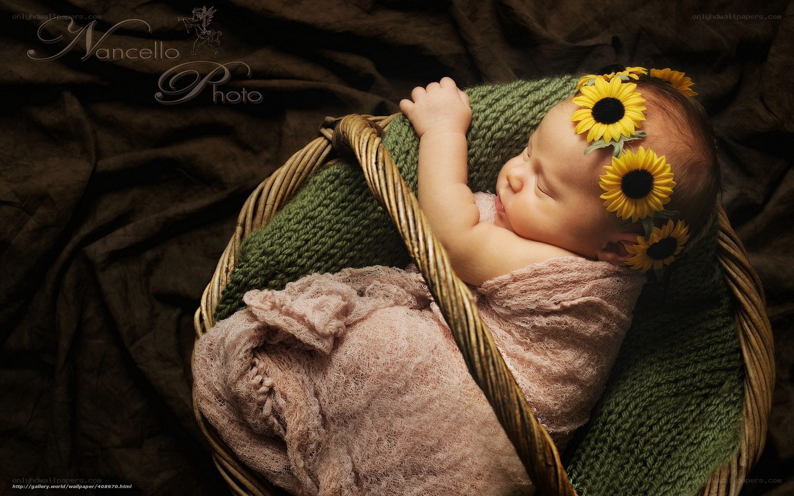 Baby in sunflower basket