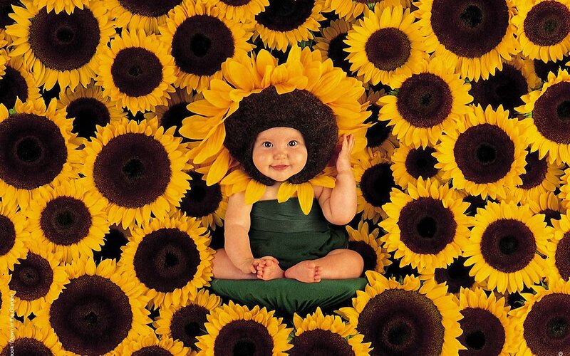 Baby in Sunflower Costume — Yellow