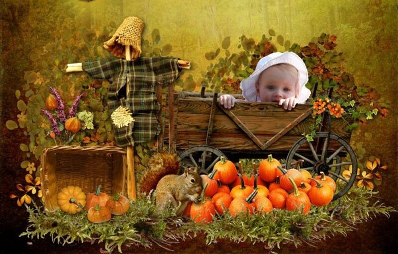 Baby in Wagon — Orange