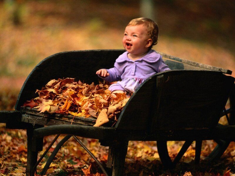 Baby in Wheelbarrow — Brown
