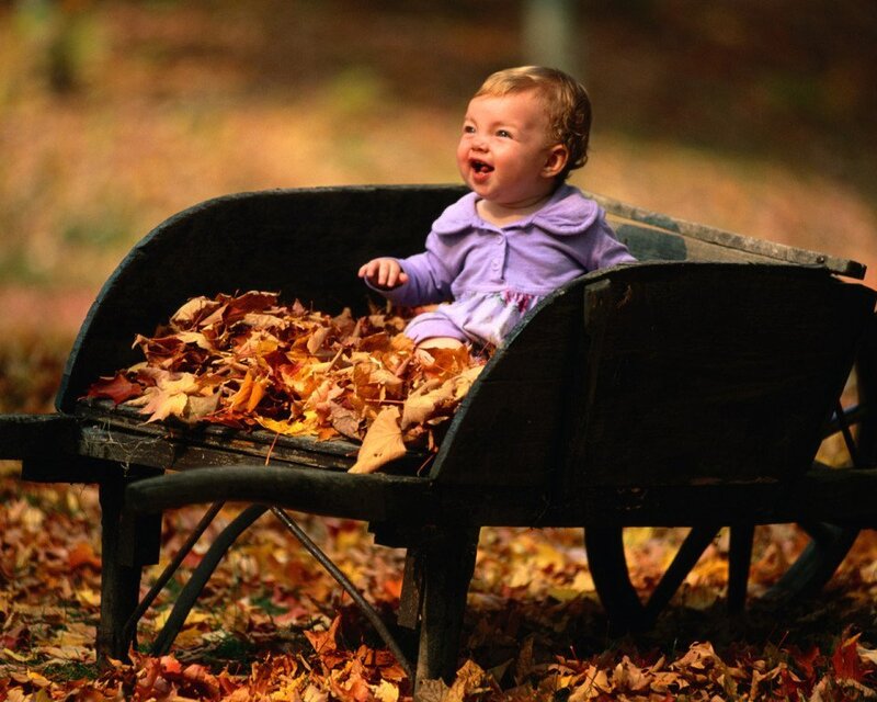 Baby in Wheelbarrow