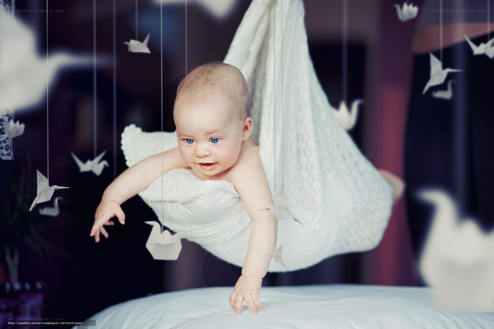 Baby in white hammock