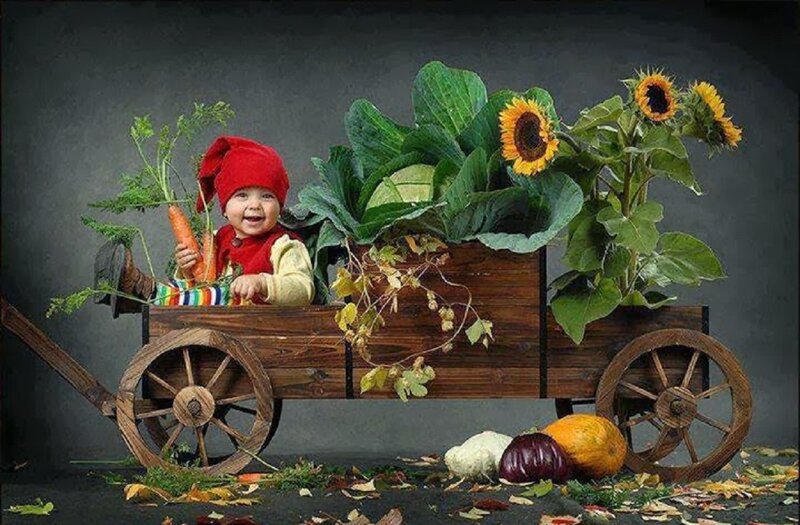 Baby in Wooden Cart — Brown
