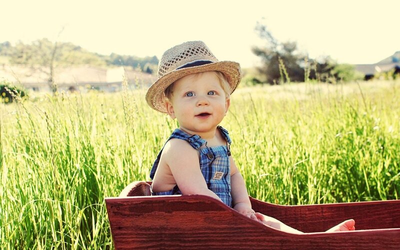 Baby in Wooden Cart