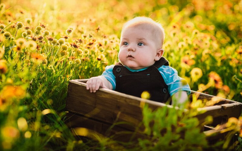Baby in Wooden Crate