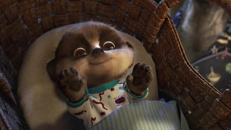 Baby Meerkat in Basket
