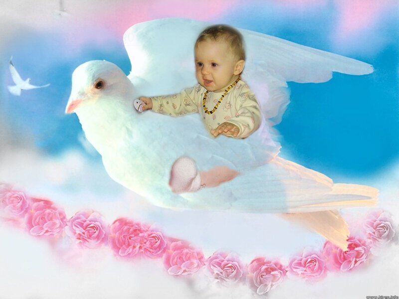 Baby on a Dove