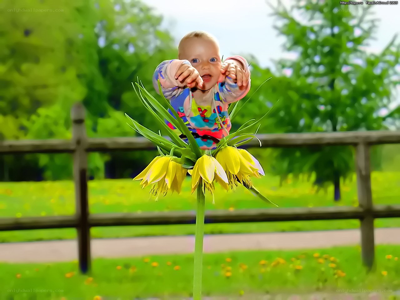 Baby on a flower