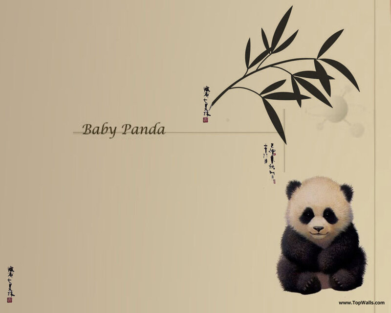 Baby panda with bamboo