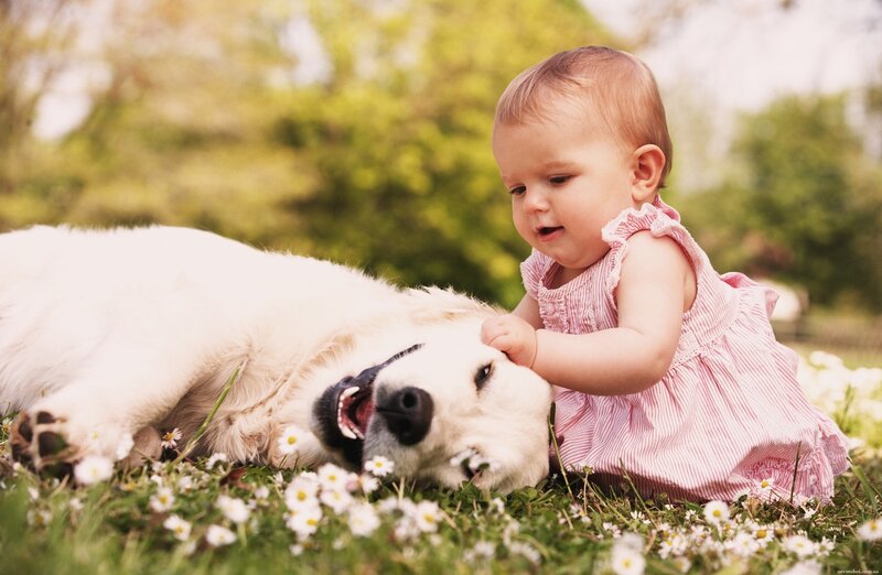 Baby Petting Dog — Green, Peaceful