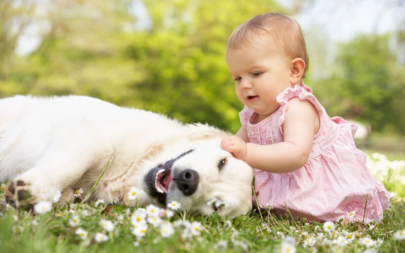 Baby Petting Dog — Green