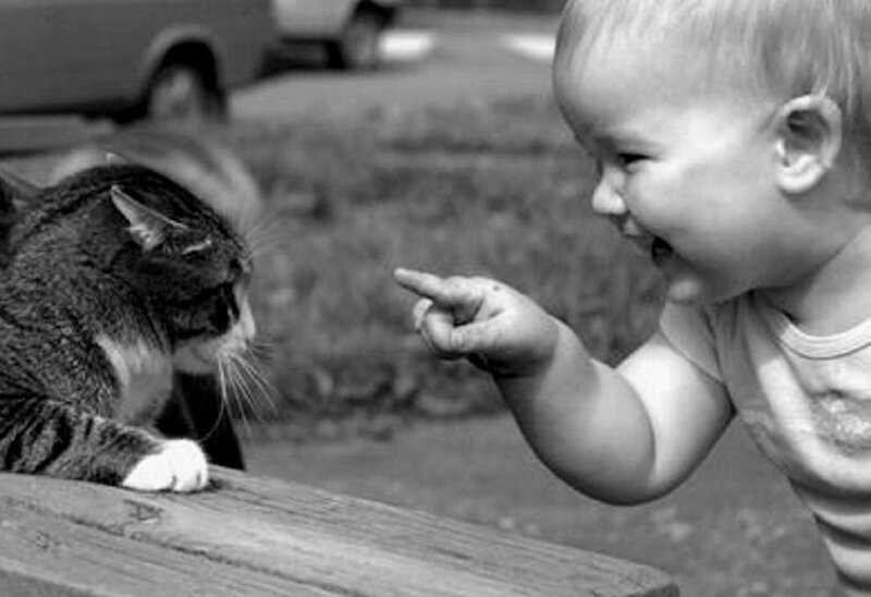 Baby Pointing at Cat — Black