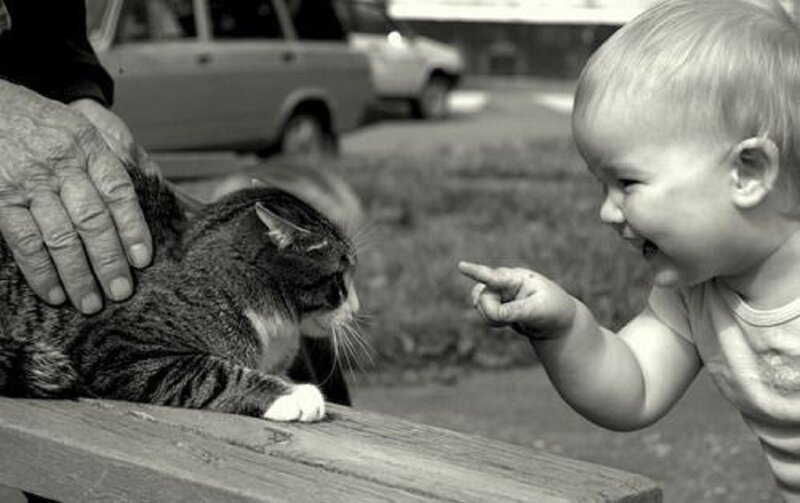 Baby Pointing at Cat
