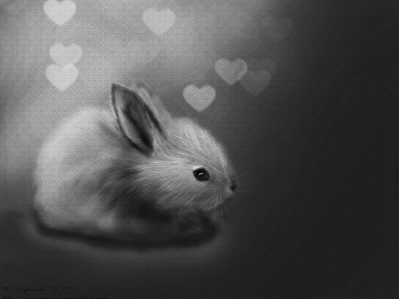 Baby Rabbit in Black and White