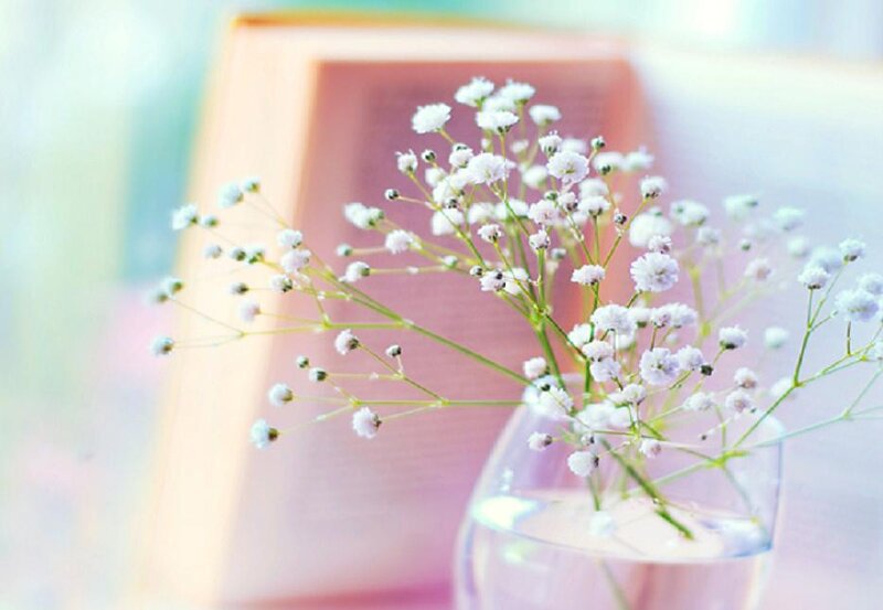 Baby's Breath in Glass