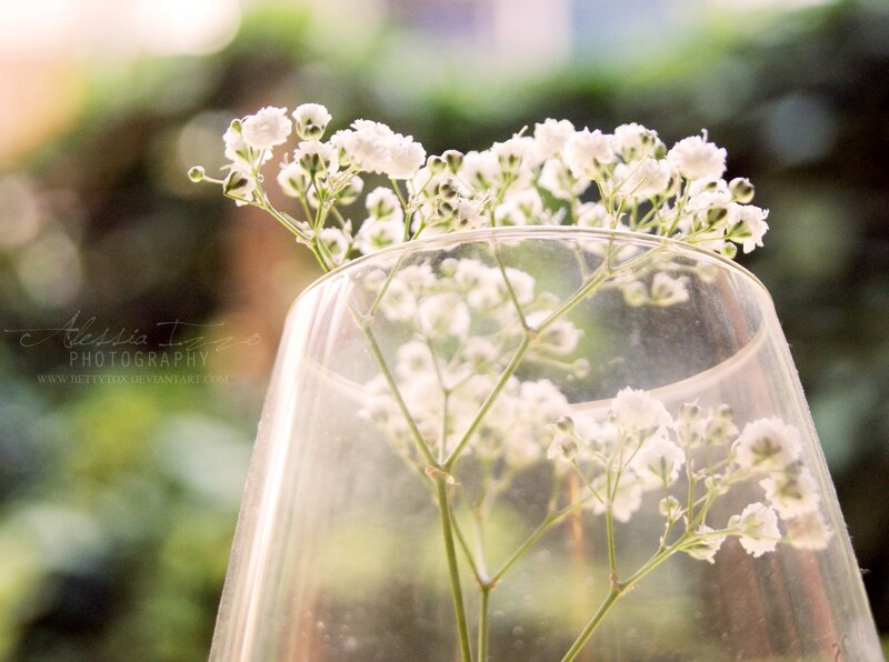 Baby's Breath in Glass — White