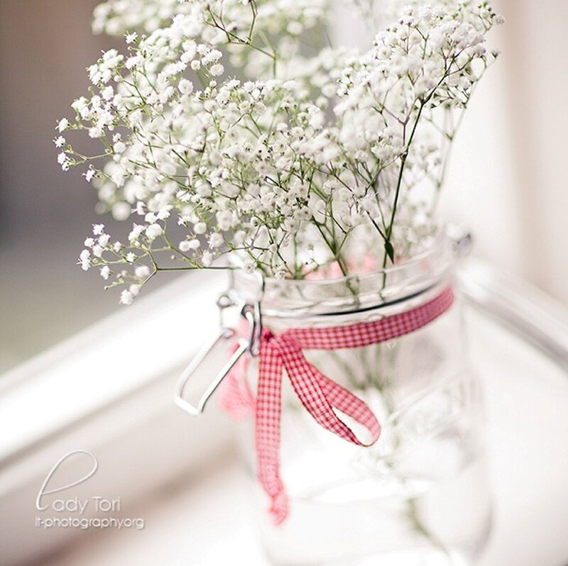 Baby's Breath in Jar — White