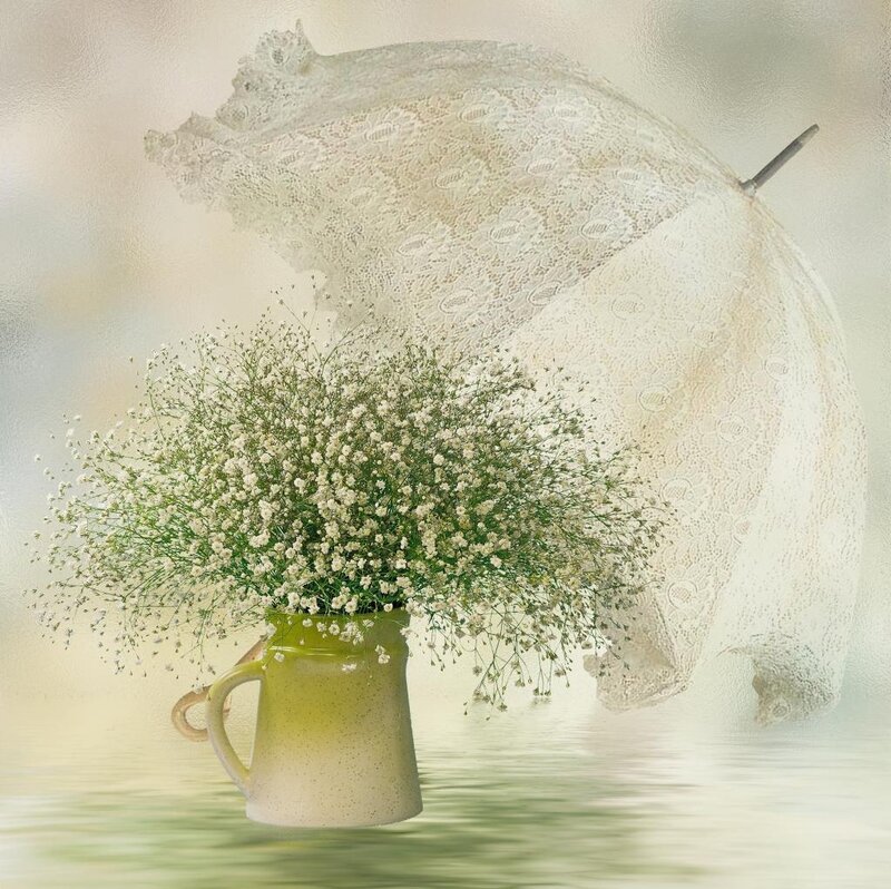 Baby's Breath in Pitcher