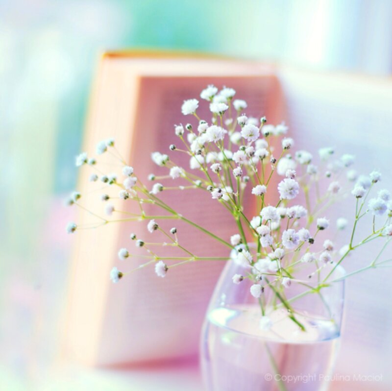 Baby's Breath in Vase