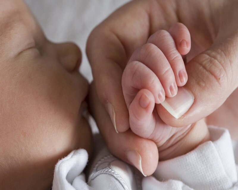 Baby's Hand Holding Adult