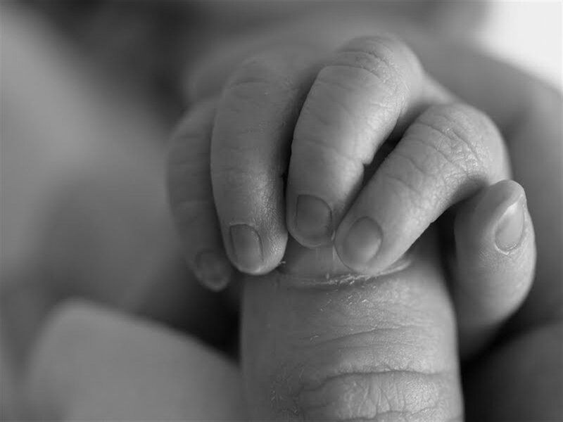 Baby's Hand Holding Finger