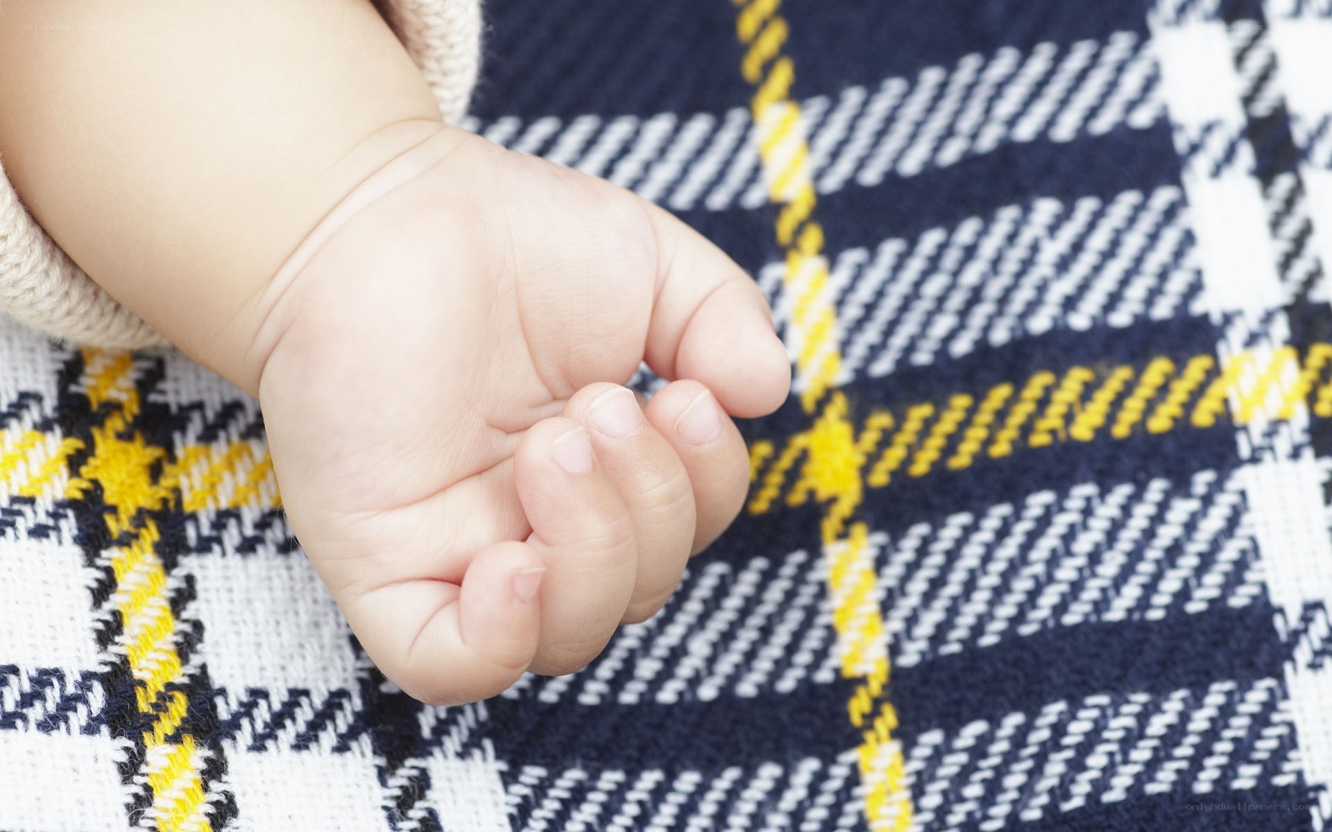 Baby's hand on plaid blanket