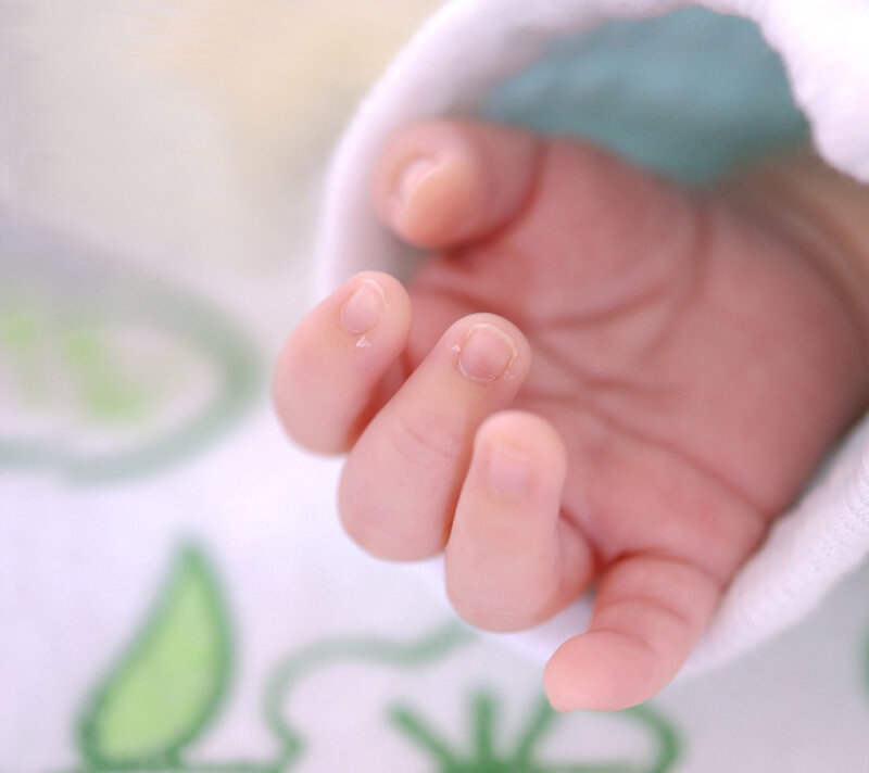 Baby's Hand