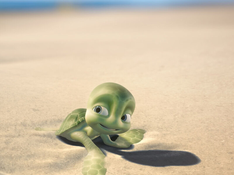 Baby Sea Turtle on Sand — Green