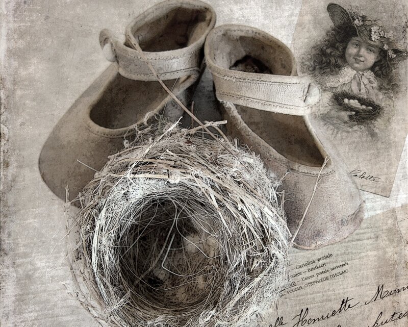 Baby Shoes and Bird Nest
